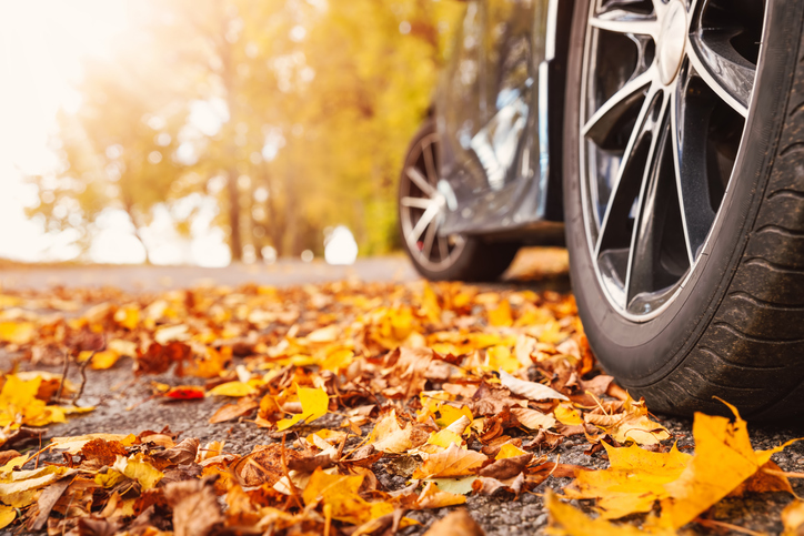 Keep Maintaining Your Vehicle Even If It Sits Idle